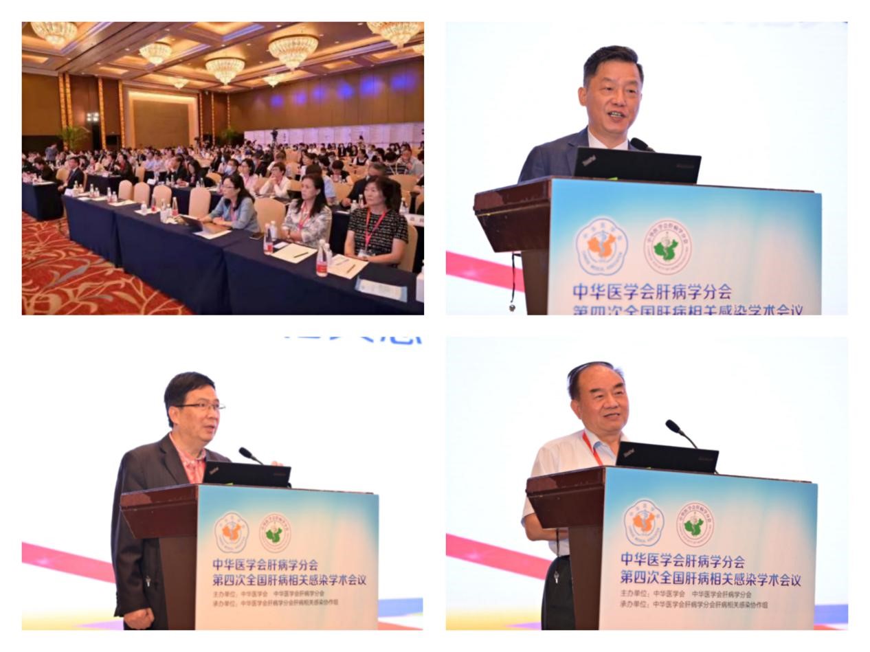 聚焦學(xué)術(shù)前沿，共迎肝病防治新征程！福瑞股份以學(xué)術(shù)助力中醫(yī)藥發(fā)展